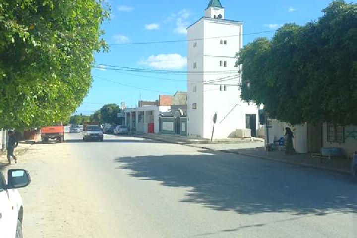 Victoria, 24 — Escort in Amiret El Fhoul, Tunisia