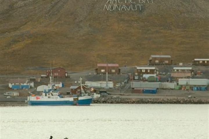 Victoria, 24 — Escort in Arctic Bay, Canada