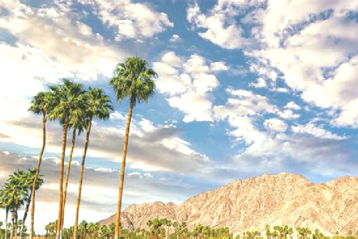 Victoria, 24 — Escort in Palm Springs, United States