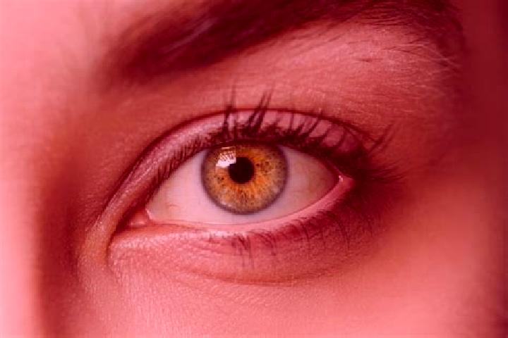 Victoria, 25, a auburn hazel-eyed mixed companion based in Kinel -Cherkassy. Offering Domination, GFE, Overnight. Available for incall and outcall, overnight...