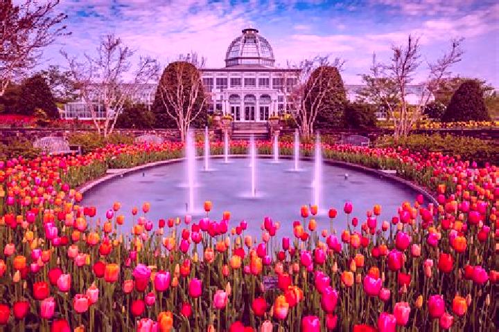 Victoria, 25 — Escort in Bradley Gardens, United States