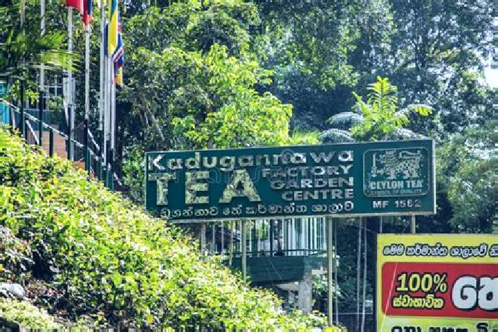 Victoria, 25 — Escort in Kadugannawa, Sri Lanka