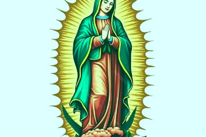 Victoria, 25 — Escort in La Guadalupana, Mexico