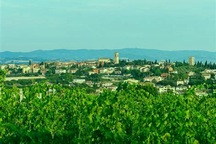 Victoria, 25 — Escort in Torgiano, Italy