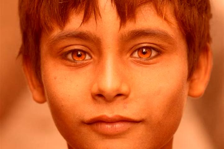 Victoria, 26, a auburn amber-eyed asian companion based in Dierkow-Neu. Offering Massage, Girlfriend Experience, Duos. Available for incall and outcall, day ...