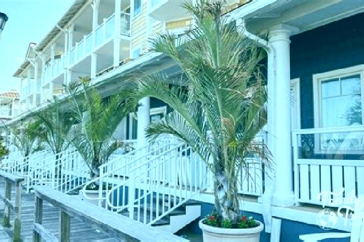 Victoria, 26 — Escort in Bethany Beach, United States