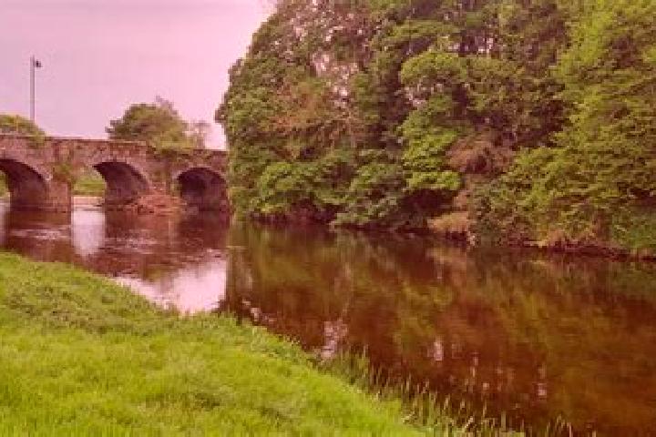 Victoria, 26 — Escort in Bunclody, Ireland