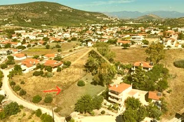 Victoria, 26 — Escort in Lefkakia, Greece