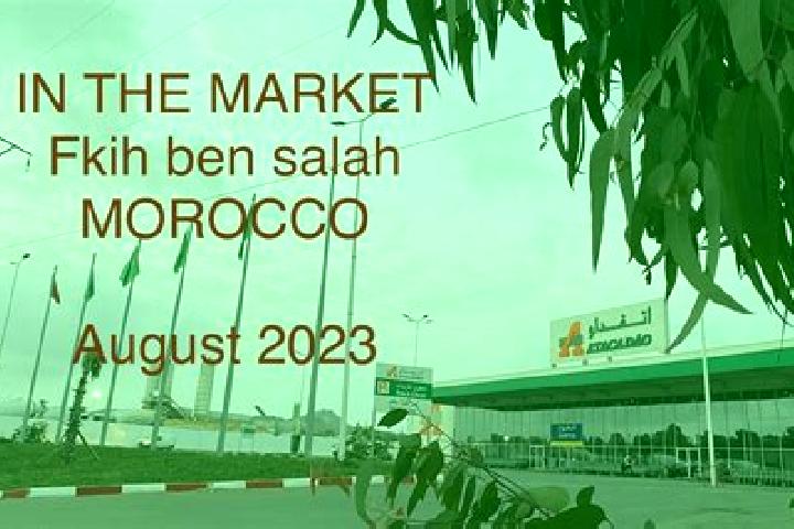 Victoria, 27 — Escort in Al Fqih Ben Calah, Morocco