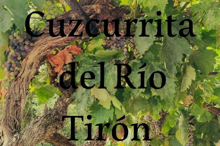 Victoria, 27 — Escort in Cuzcurrita de Rio Tiron, Spain