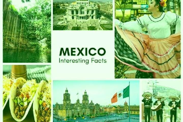 Victoria, 27 — Escort in Pochahuizco, Mexico