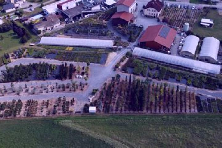 Victoria, 27 — Escort in Zgornja Hajdina, Slovenia