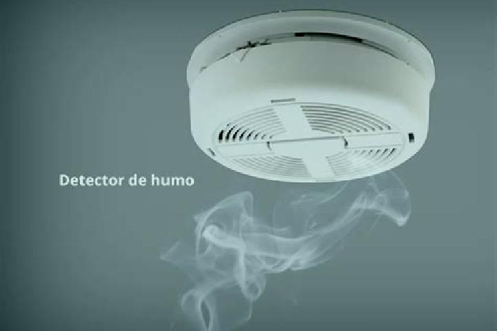 Victoria, 28 — Escort in El Humo, Mexico