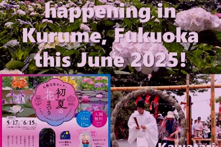 Victoria, 28 — Escort in Kurume, Japan