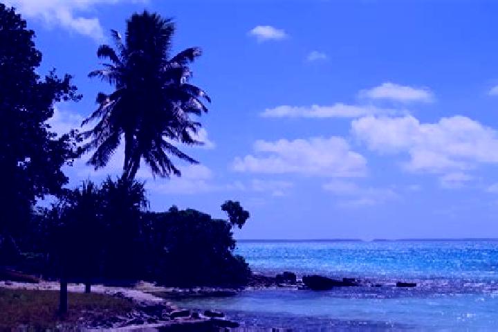 Victoria, 28 — Escort in Makin Village, Kiribati