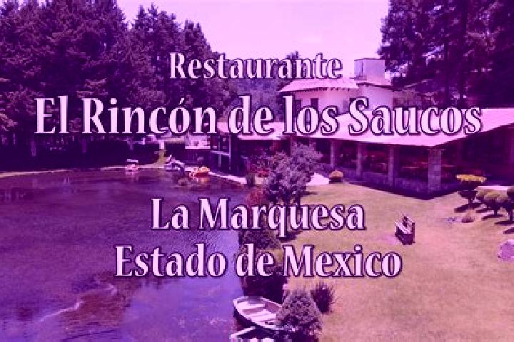 Victoria, 28 — Escort in Rincon de los Reyes, Mexico