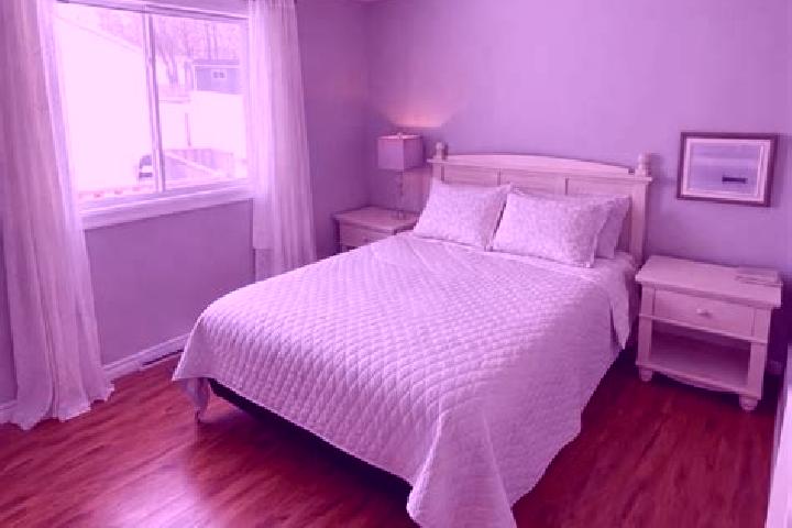 Victoria, 29 — Escort in Clarenville, Canada