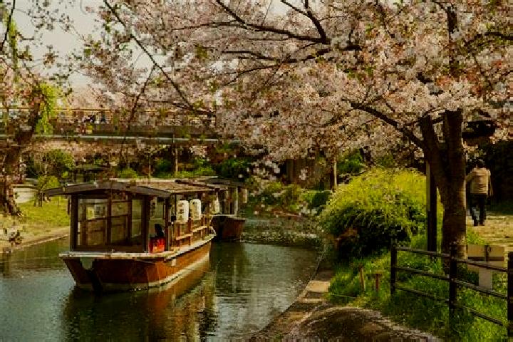 Victoria, 29 — Escort in Takaoka, Japan