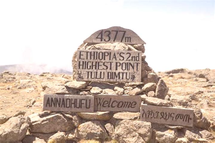 Victoria, 29 — Escort in Tulu Bolo, Ethiopia