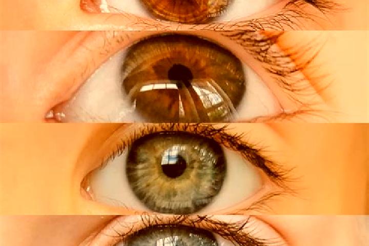 Victoria, 30, a chestnut grey-eyed middle eastern companion based in Kellinghusen. Offering Erotic Massage, Striptease, Dinner Date, CIM. Available for incal...