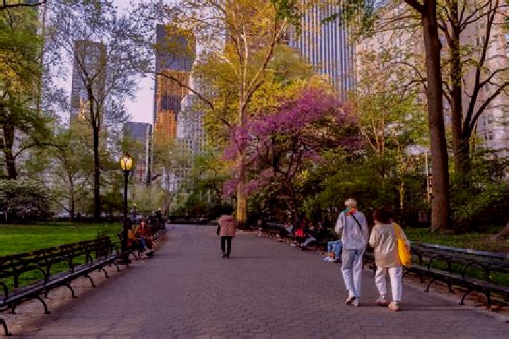 Victoria, 30 — Escort in Central Park Heights, United States