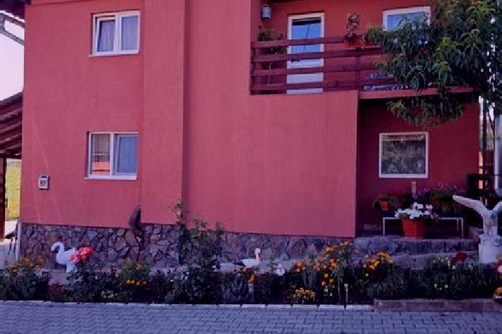 Victoria, 30 — Escort in Fundoaia, Romania