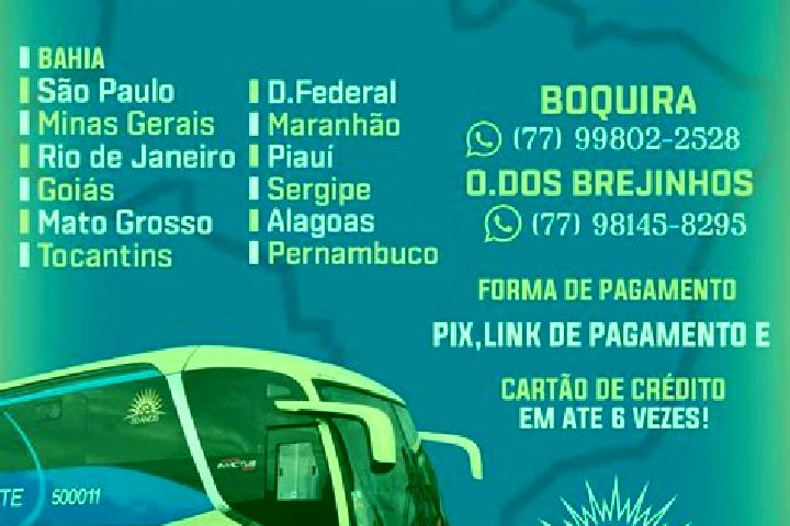 Victoria, 30 — Escort in Oliveira dos Brejinhos, Brazil
