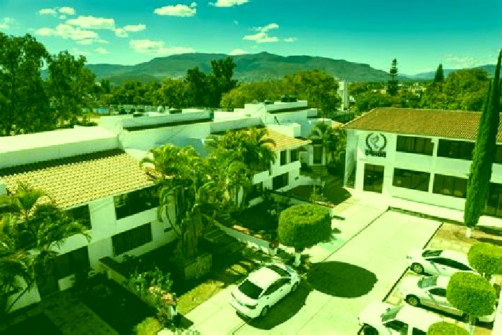Victoria, 30 — Escort in San Mateo Nejapam, Mexico