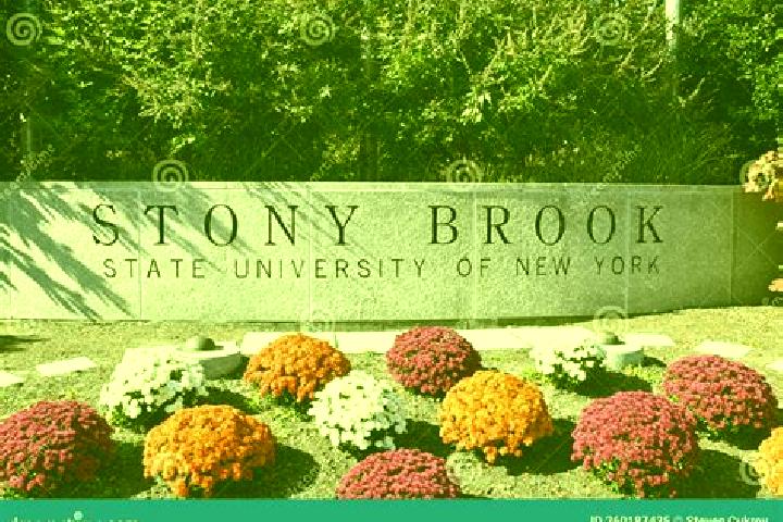 Victoria, 30 — Escort in Stony Brook, United States