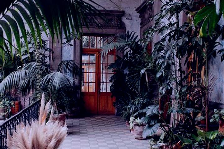 Victoria, 31 — Escort in Pedregal, Peru