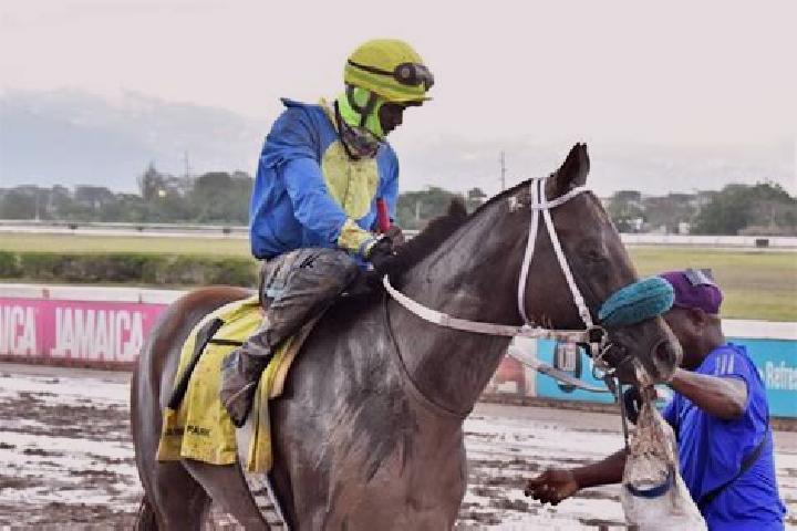 Victoria, 31 — Escort in Race Course, Jamaica