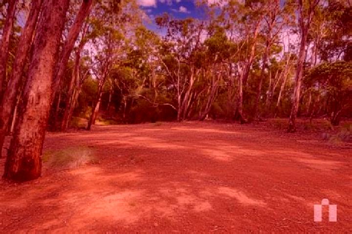 Victoria, 32 — Escort in Cottles Bridge, Australia