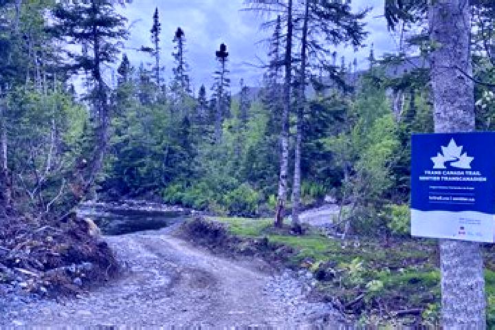 Victoria, 32 — Escort in Trail, Canada