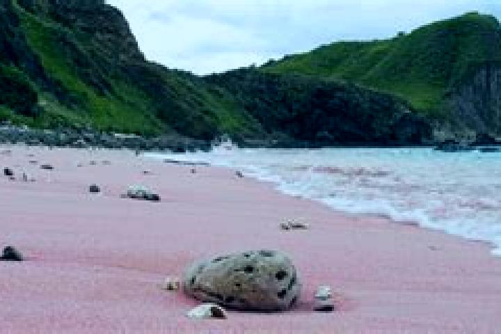 Victoria, 33 — Escort in Barbuda Parish, Antigua and Barbuda