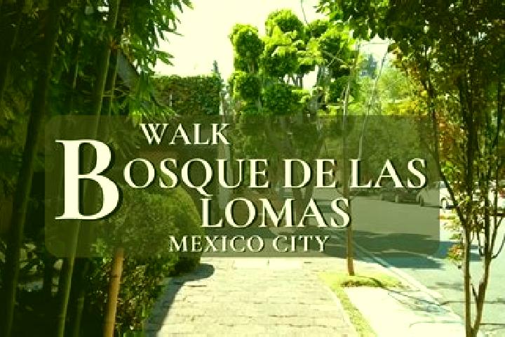 Victoria, 33 — Escort in Barrio Cuarto (La Loma), Mexico