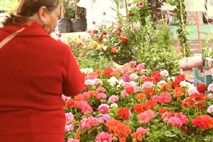 Victoria, 33 — Escort in Las Flores Cinco Poblados, Mexico