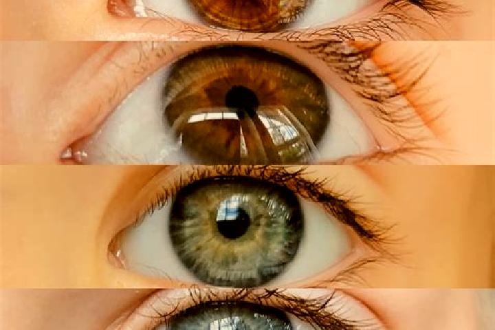 Victoria, 34, a chestnut dark-eyed mixed companion based in Proveysieux. Offering Overnight, Duos, Roleplay. Available for incall and outcall, overnight book...