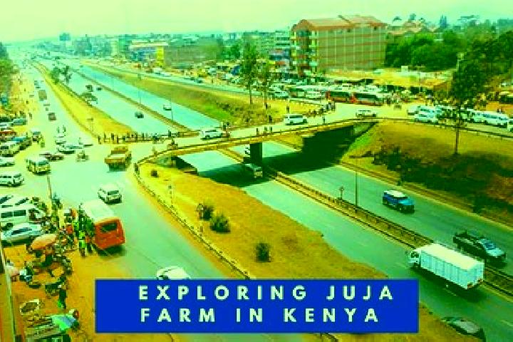Victoria, 34 — Escort in Juja, Kenya