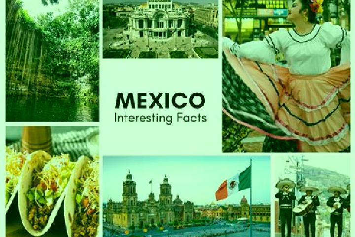 Victoria, 34 — Escort in Popocatzin, Mexico