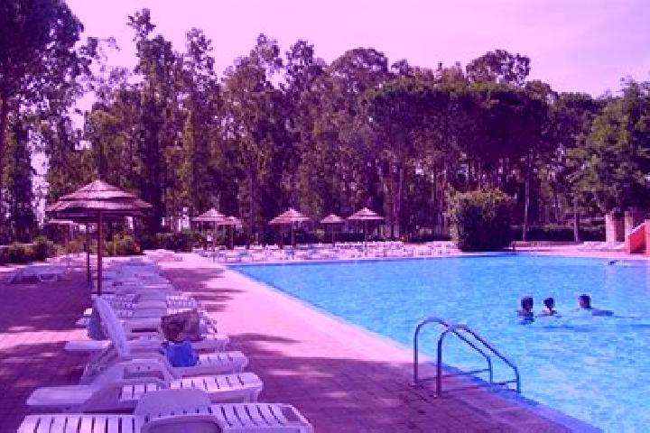 Victoria, 34 — Escort in Sant Andrea Apostolo dello Ionio, Italy