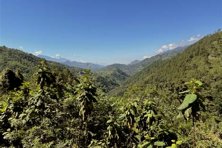 Victoria, 34 — Escort in Senahu, Guatemala