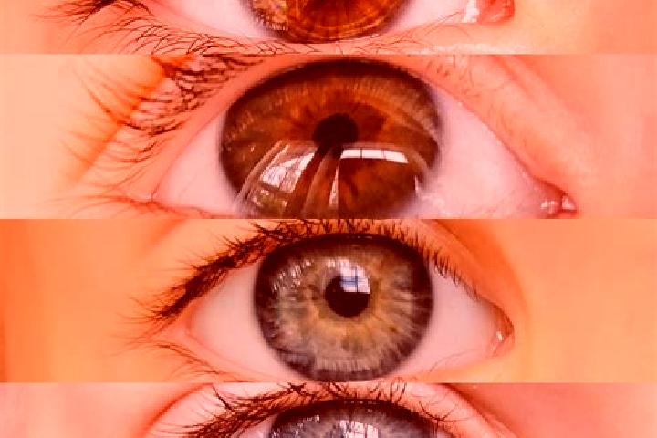 Victoria, 35, a chestnut hazel-eyed caucasian companion based in Naisud. Offering Domination, Striptease, 69. Available for incall and outcall, day and eveni...