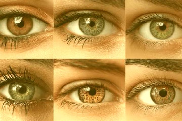 Victoria, 35, a red hazel-eyed ebony companion based in San Francisco Tepeolulco. Offering Overnight, CIM, Party Girl, 69, Duos. Available for incall and out...