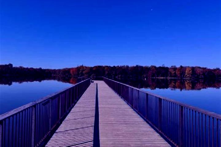 Victoria, 35 — Escort in Beaverdam Lake-Salisbury Mills, United States