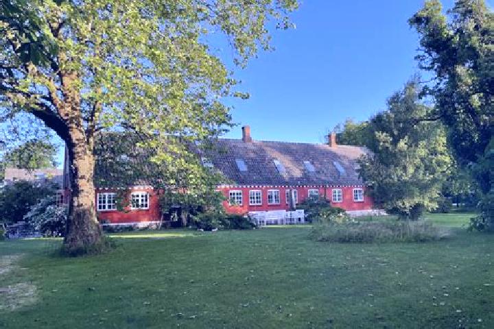 Victoria, 35 — Escort in Gram, Denmark