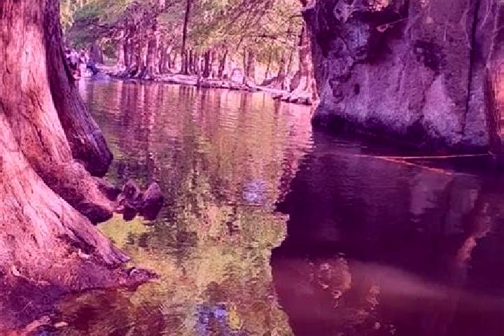 Victoria, 35 — Escort in Los Freseros (Los Sabinos), Mexico