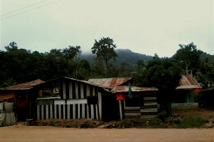 Victoria, 35 — Escort in Usangi, Tanzania