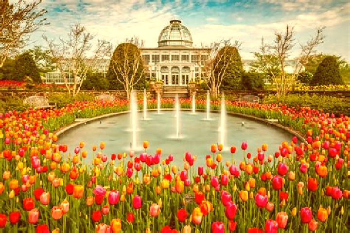 Victoria, 35 — Escort in Winter Gardens, United States