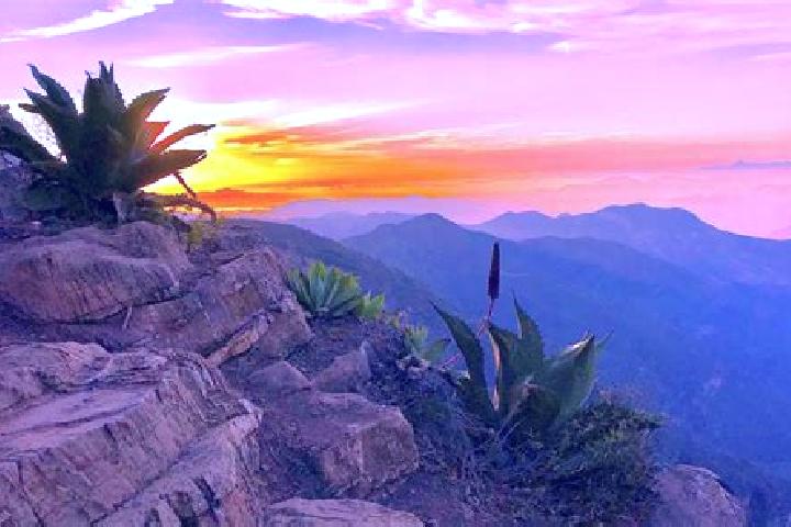 Victoria, 36 — Escort in Campesina el Mirador, Mexico