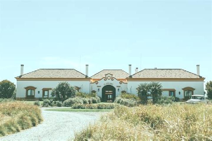 Victoria, 36 — Escort in Estancia Vieja (San Jose la Estancia), Mexico